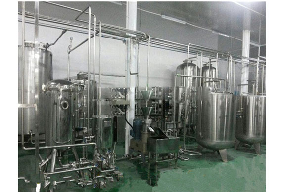 Small scale blueberry juice production line