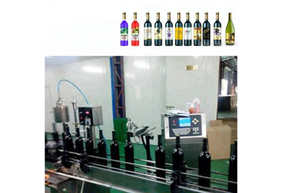 mini fruit wine making machine