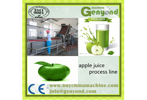 Turn Key Solution for Fruit & Vegetable Processing