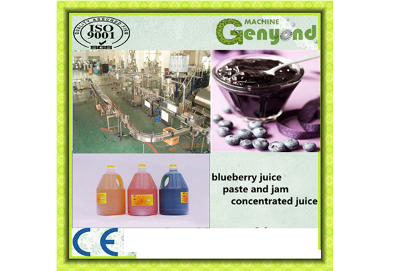 Fruit Jam Production Line From China