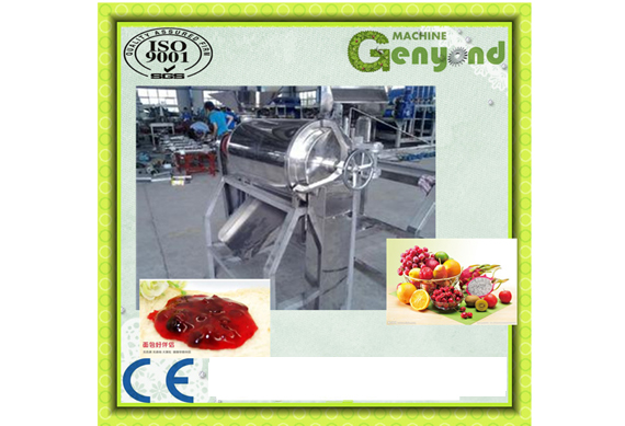 complete blueberry sauce making machines