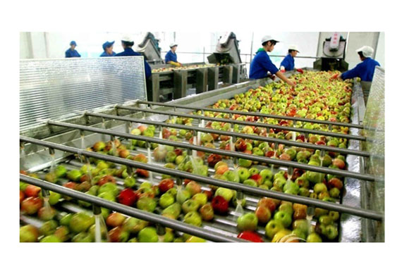 Apple juice making machine/production line
