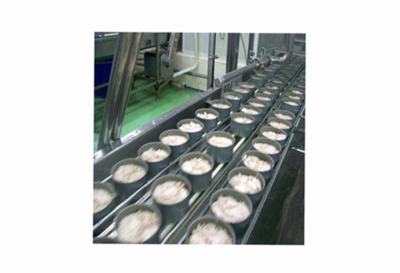 small scale canned tuna in oil making line