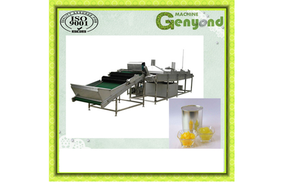 shanghai automatic canned fruit processing machines