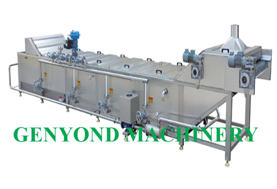 canned sweet litchi processing plant / litchi processing machine