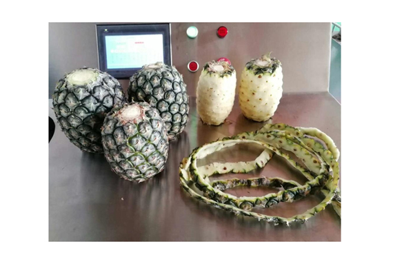 complete canned pineapple fruit food Canning /canning processing machine/line