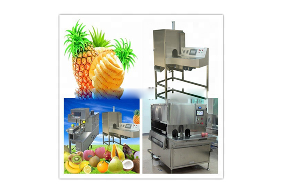 complete canned pineapple fruit food Canning /canning processing machine/line