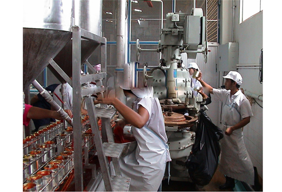 SARDINES IN OIL PROCESS PLANT