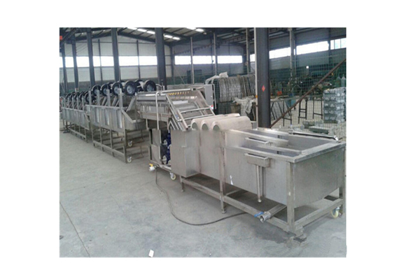 small scale fish canning plant