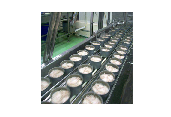 commercial canned tuna in oil processing line