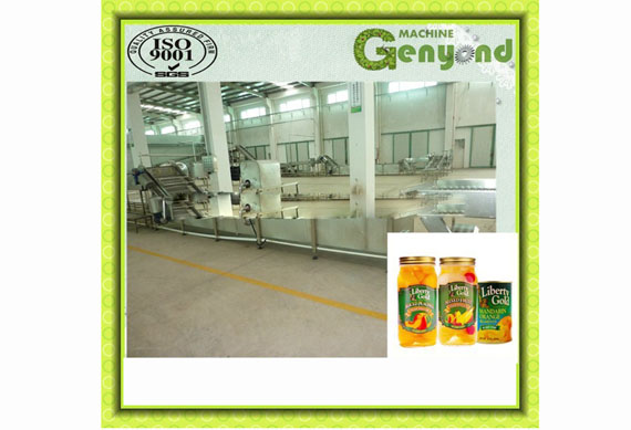 Commercial canned mandrin orange in syrup production line / orange peeling/splitting machine