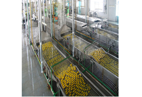 hight quality complete litchi Canning /canning processing machine/line