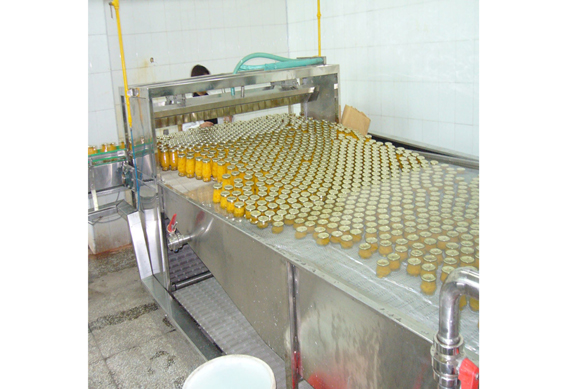 hight quality complete litchi Canning /canning processing machine/line