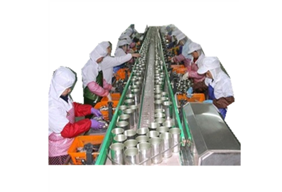 SARDINES PROCESS MACHINE