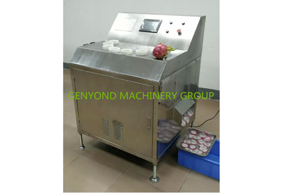 pineapple chips production line/ pineapple processing machine