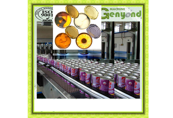 fruit Canning Machines for Pineapple Mango