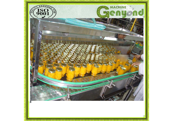 fruit Canning Machines for Pineapple Mango