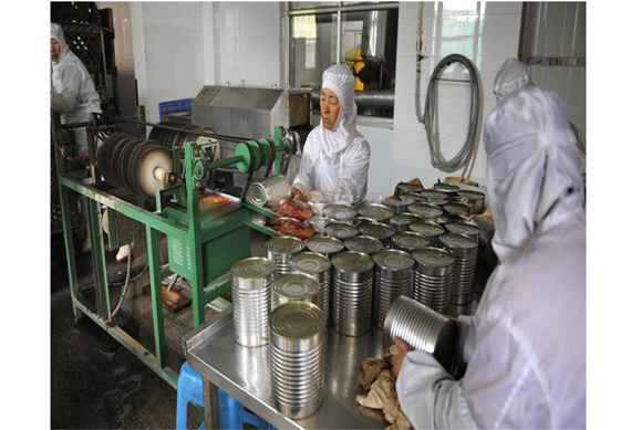 complete mackerel fish in oil canning line