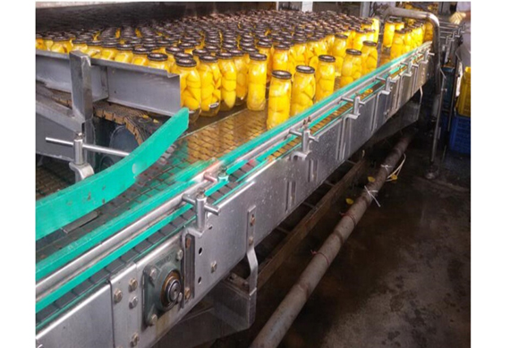 1Ton Complete Pineapple Canning Plant Machine