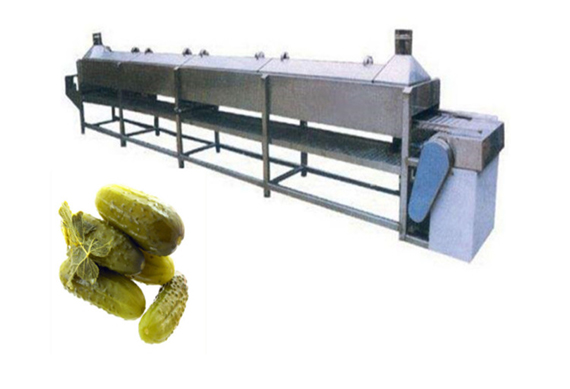 best price Gherkin cucumber processing machine