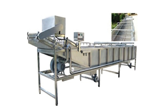 best price Gherkin cucumber processing machine