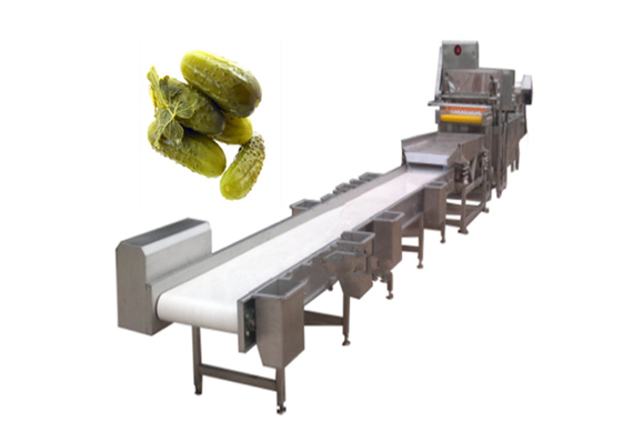 best price Gherkin cucumber processing machine