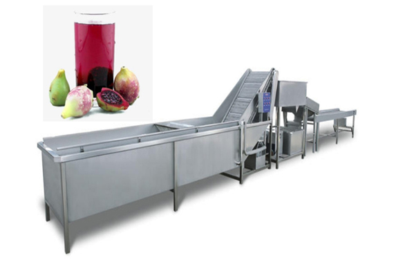 fully automatic prickly pear juice concentrate processing plant