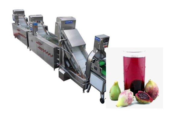 fully automatic prickly pear juice concentrate processing plant