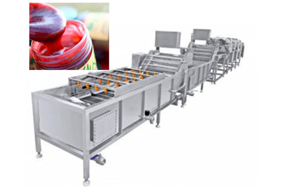 fully automatic prickly pear juice concentrate processing plant