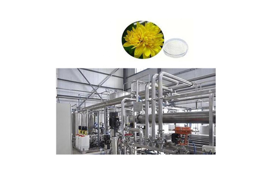 inulin topinambur fructose plant for sale