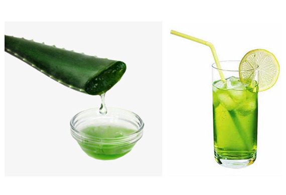 commercial aloe vera juice processing machine