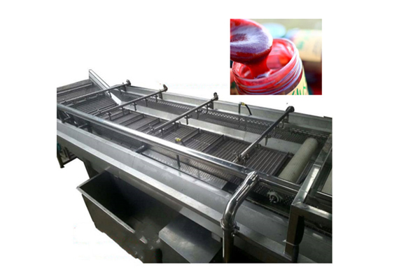 high quality Rosa roxbunghii juice processing line