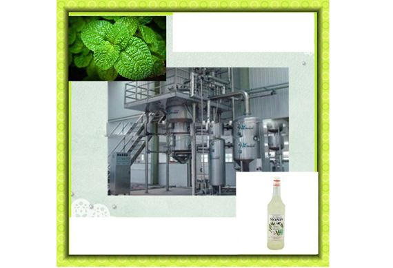 mint liquid extract production line