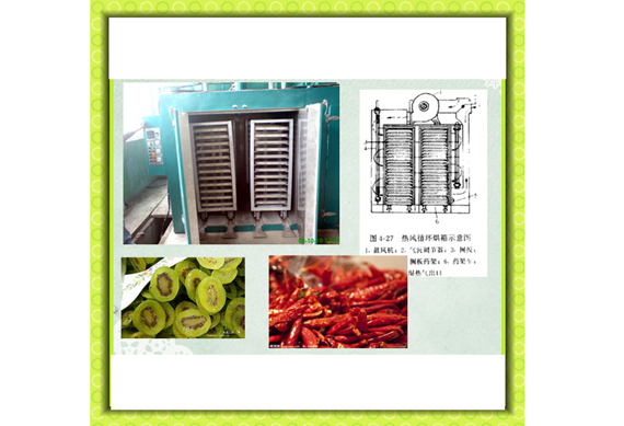 pineapple drying machine hot air drying machine