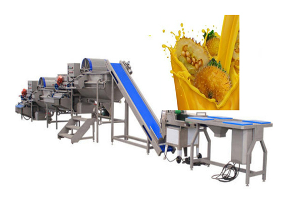 fully automatic Rosa roxbunghii juice production plant