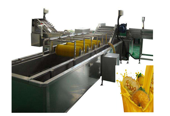 fully automatic Rosa roxbunghii juice production plant