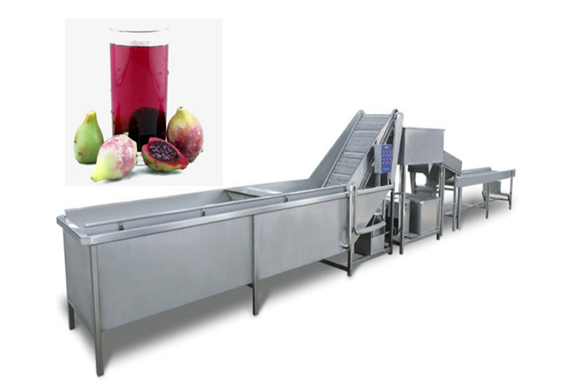 fully automatic Rosa roxbunghii juice production plant