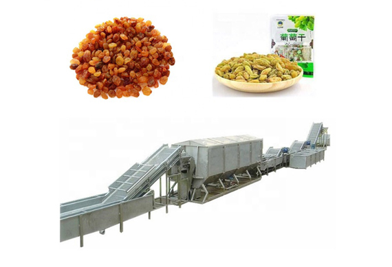 raisin production line plant processing line making machine for sale