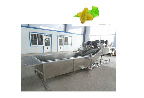 raisin production line plant processing line making machine for sale