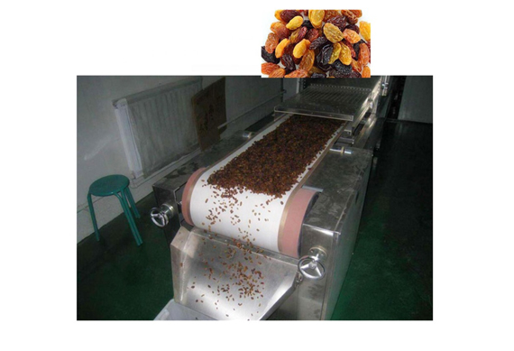 raisin production line plant processing line making machine for sale