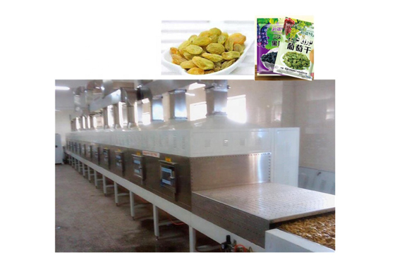 raisin production line plant processing line making machine for sale