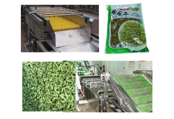 raisin production line plant processing line making machine for sale