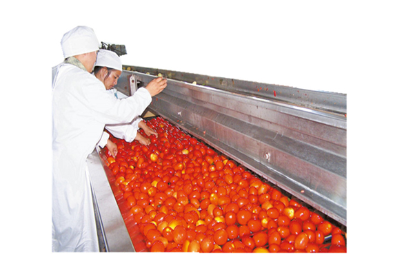 automatic tomato juice processing line