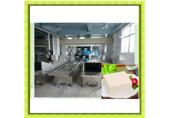 Commercial marinated tofu making/packing/sterilizing machine