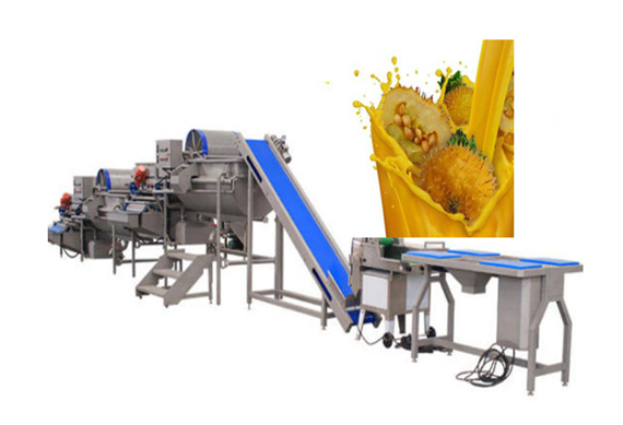 good price Tamarind juice production plant