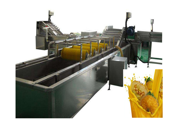 good price Tamarind juice production plant