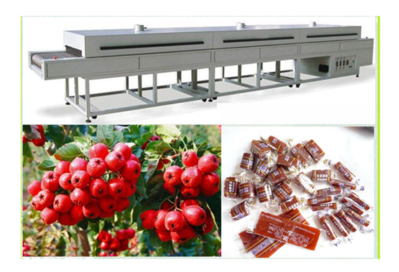 Fruit leather production line