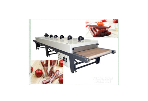 Fruit leather production line