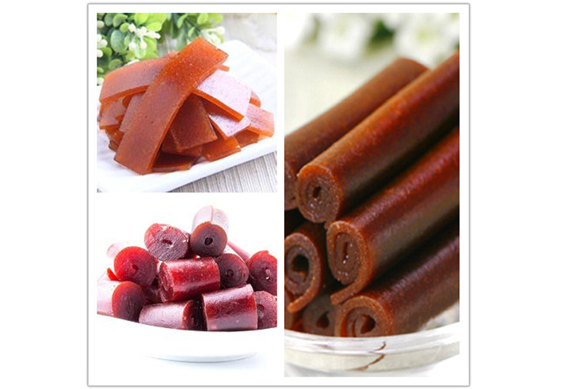 Fruit leather production line