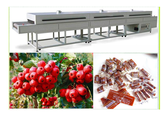 Automatic Induction Fruit Leather Production Line